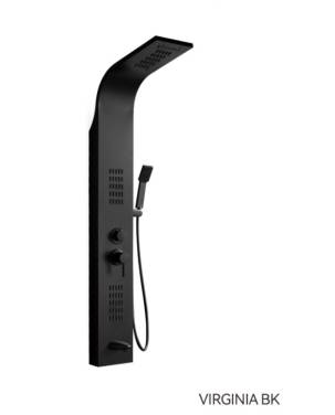 Ceruttispa VIRGINIA BK CT9989