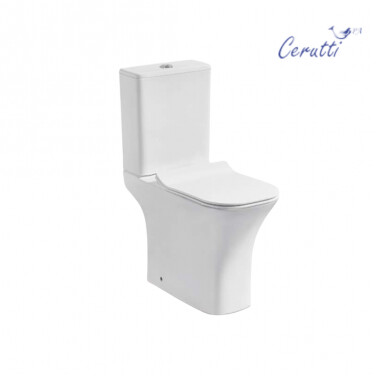 Ceruttispa Vettore CT7192