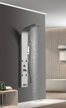 Ceruttispa VICTORIA BR CT9980