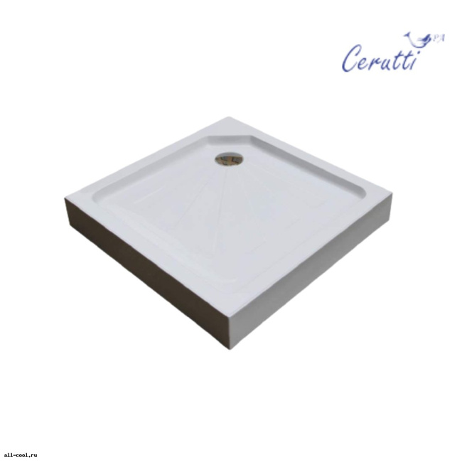 Ceruttispa Q91