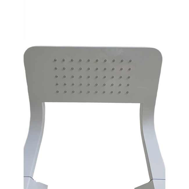 Ceruttispa MAIELLA B CT8985