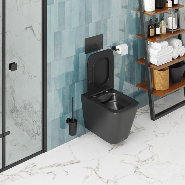 Ceruttispa MAIELLA Aria MB CT9163