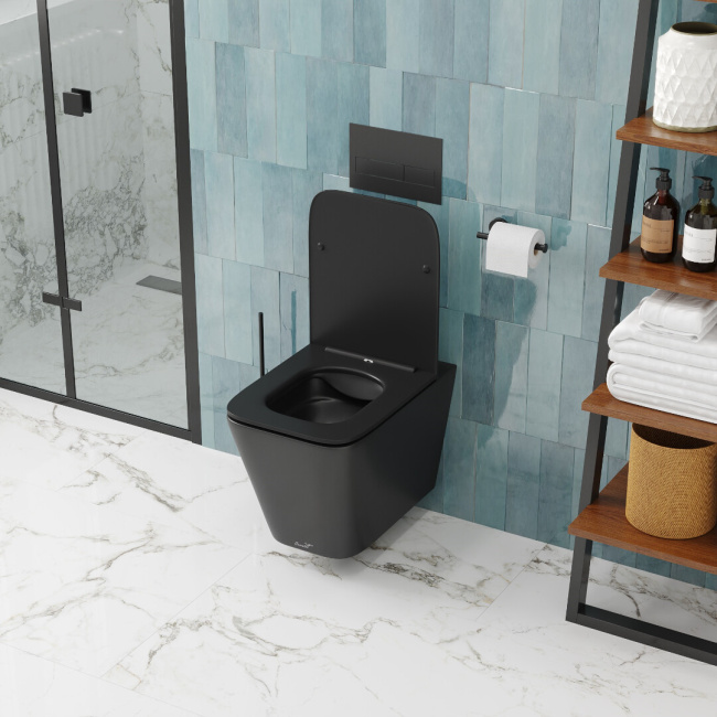 Ceruttispa MAIELLA Aria MB CT9163