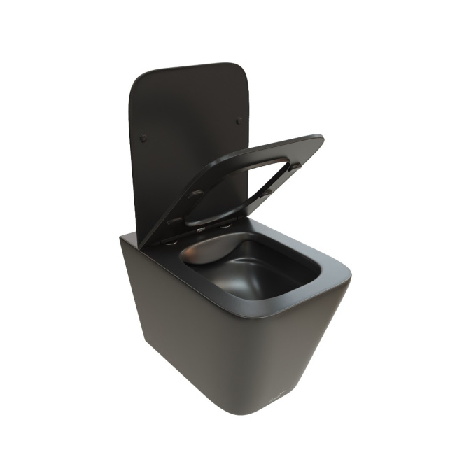 Ceruttispa MAIELLA Aria MB CT9163