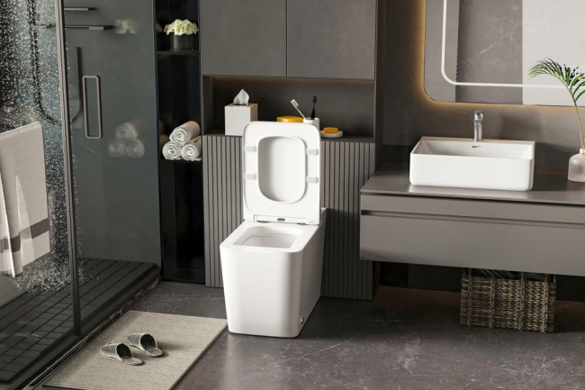 ABBER Rechteck AC1212P приставной белый с импульсным смывом