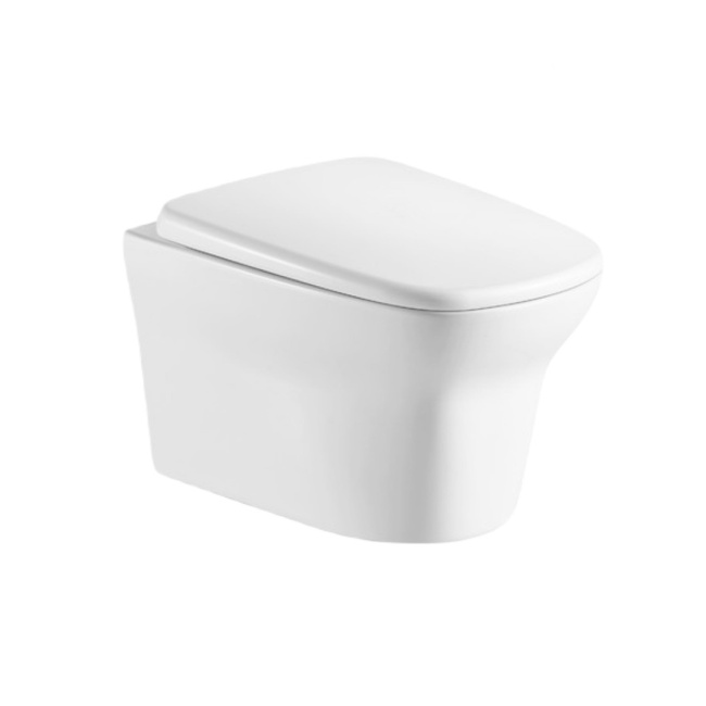 Ceruttispa Ami Aria CT8780