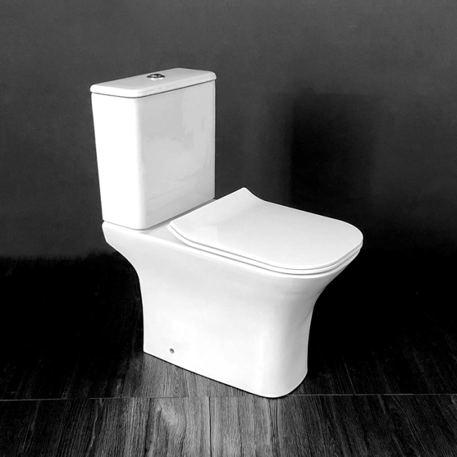 Ceruttispa Vettore CT7192