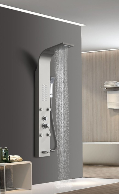 Ceruttispa VICTORIA BR CT9980