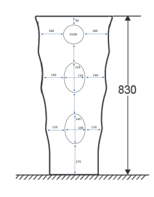 Ceruttispa Marco CT7833