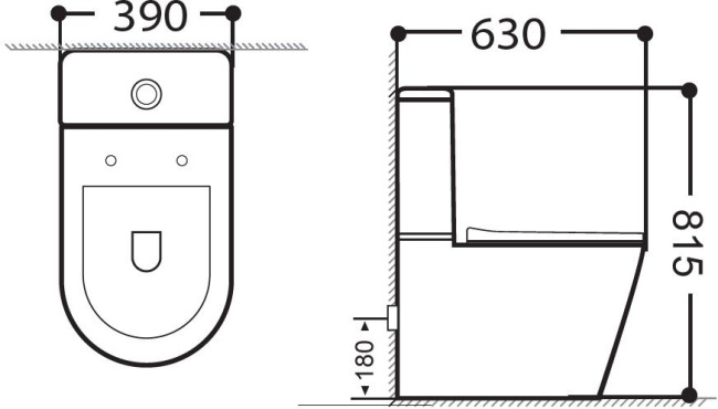Aquanet Rimless Atago 2.0 C1 LX-2904 (чаша)