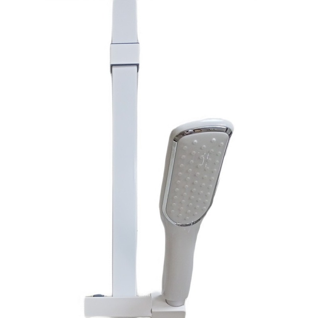 Ceruttispa MAIELLA B CT8985